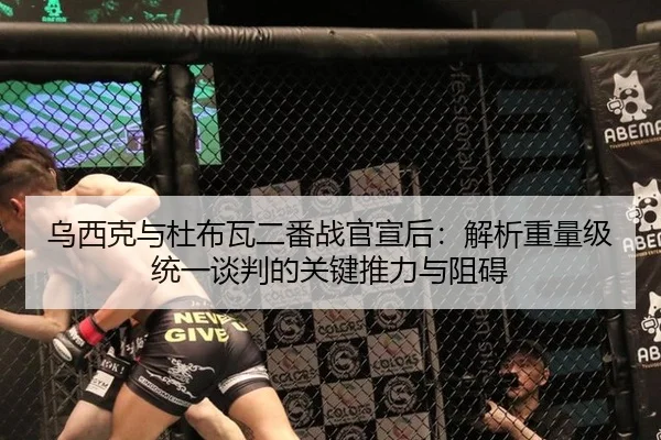 乌西克与杜布瓦二番战官宣后：解析重量级统一谈判的关键推力与阻碍